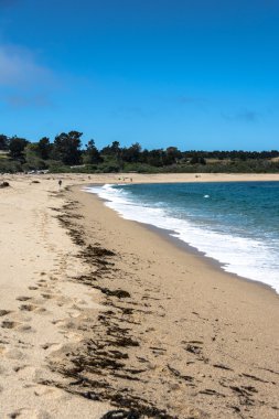 Carmel, Kaliforniya boyunca kum plaj
