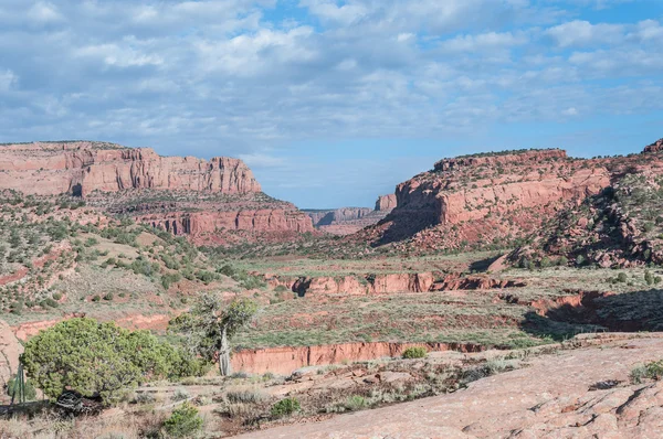 Tsegi Canyon, Arizona – stockfoto