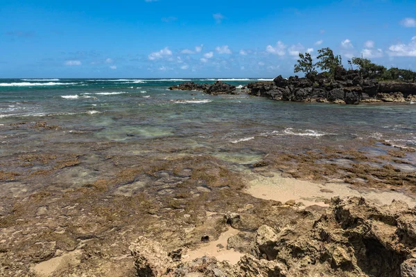 하와이 오하우 카멜라 해변을 — 스톡 사진
