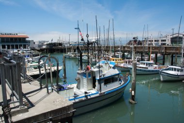 san Francisco balıkçı limanı
