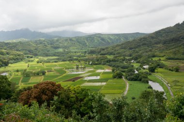 Hanalei'deki Vadisi, hawaii