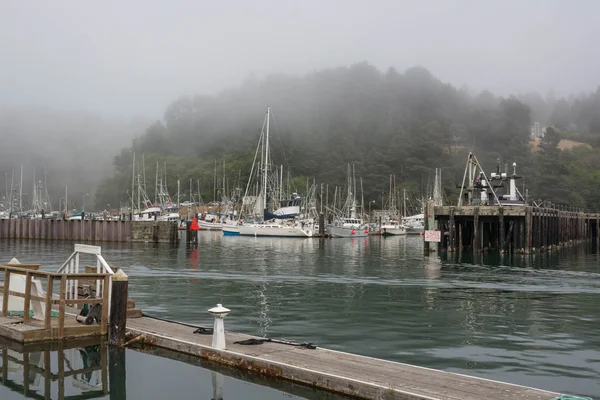 Fort bragg's noyo harbor, gezien onder mendocino county, california — Stockfoto