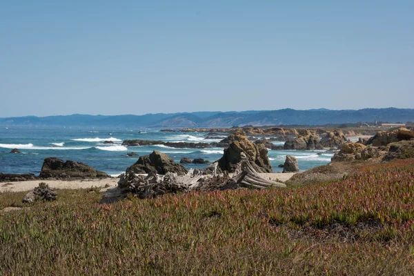 The coast of Fort Bragg, California — Stock Photo, Image