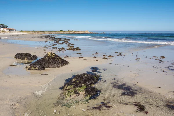 Monterey, Kaliforniya sahil — Stok fotoğraf