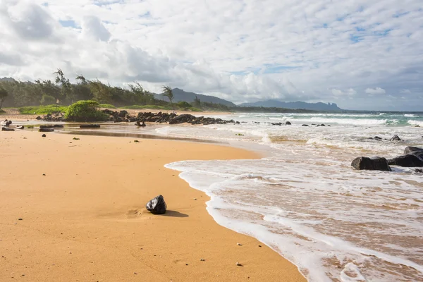 El coco en la playa, Hawaii —  Fotos de Stock