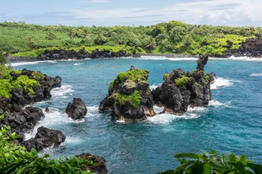 Maui, hawaii sahilinde bitki örtüsü