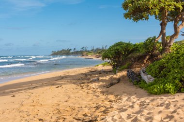 beach Maui, hawaii