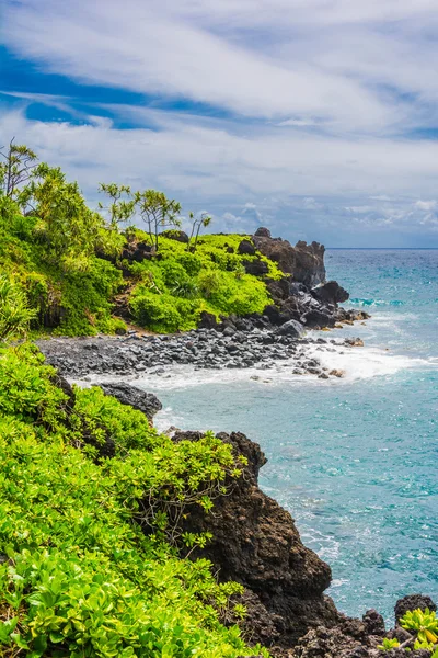 Vegetasjonen på stranden, Wai 'anapanapa – stockfoto