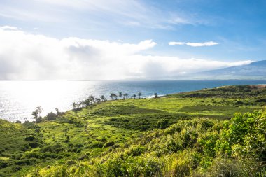 Kuzey Batı Maui, Hawaii Sahili