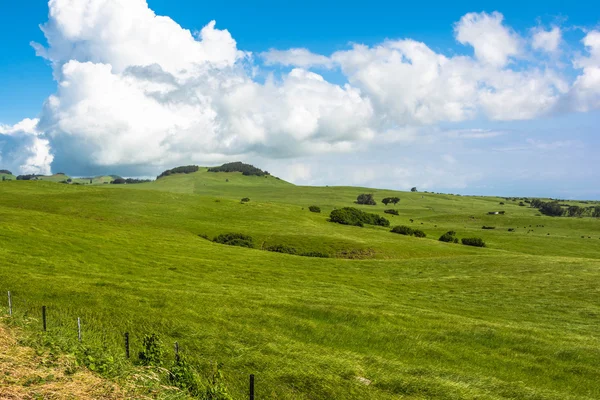 O gramado verde em Big Island, Havaí — Fotografia de Stock