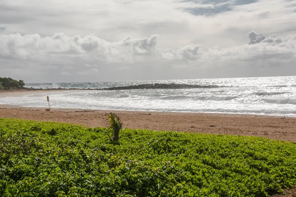 Пляж Кеалия в Кауаи — стоковое фото