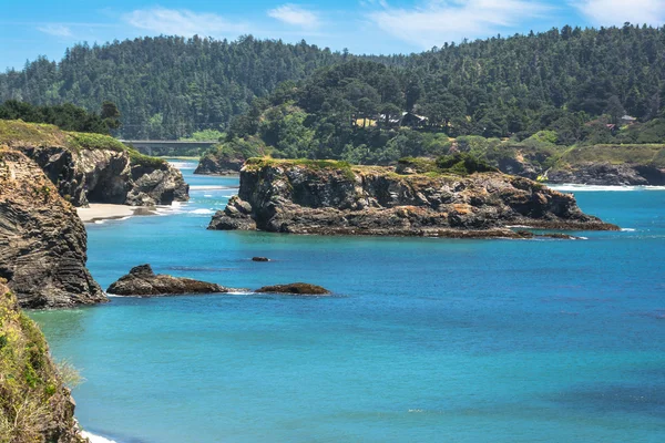 The islet in the bay of Mendocino — 图库照片