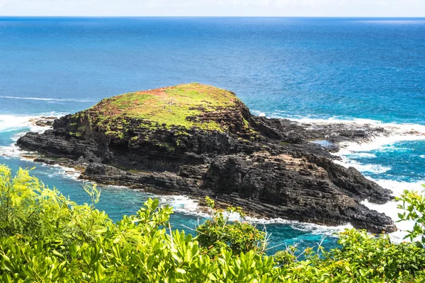 Isola di Mokuaeae a Kilauea Point, Hawaii — Foto Stock