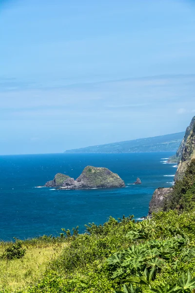 Vue de la vallée de Pololu, Hawaï — Photo