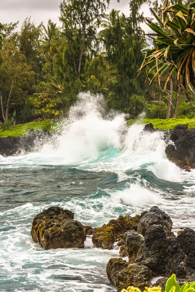 Olas estrellándose contra las rocas — Foto de Stock