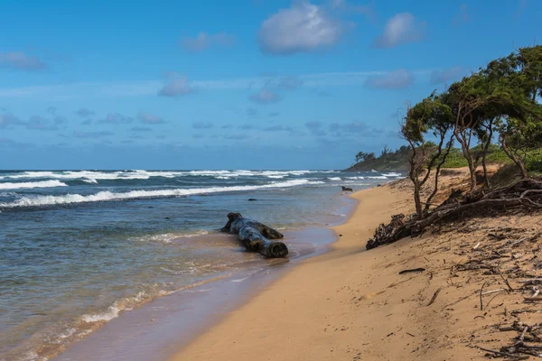 Η παραλία του Kalapaki, Kauai — Φωτογραφία Αρχείου