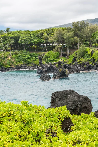 Coast at Wai'anapanapa, Maui — Stock Photo, Image