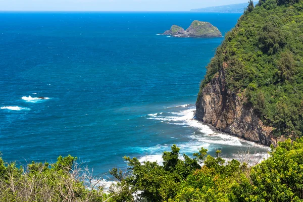Kıyı boyunca Kuzey Kohala, Hawaii