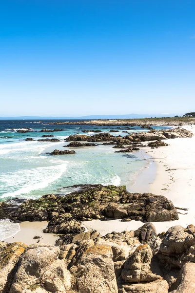 The beach of Monterey, California — Stock Photo, Image