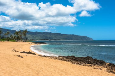 Oahu kuzey kıyısında kum plaj