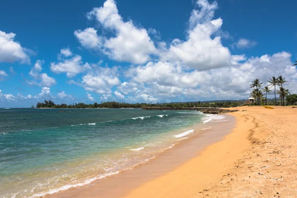Beach along North Shore coast, Oahu — Stock Photo, Image