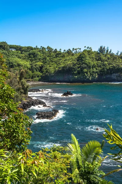 A costa de Onomea Bay, Havaí — Fotografia de Stock