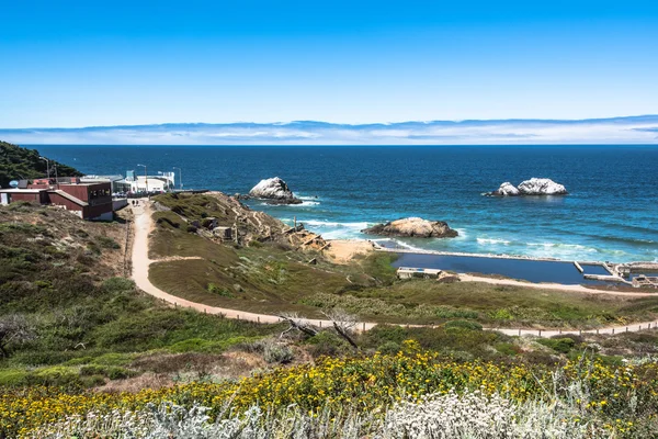 La vista sull'oceano da Point Lobos, San Francisco — Foto Stock