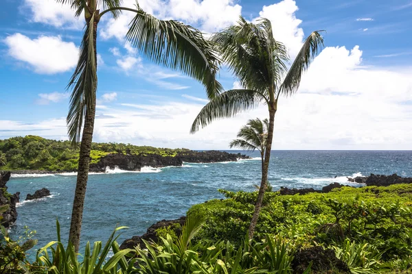 Lavakysten ved Wai Anapanapa på Maui – stockfoto