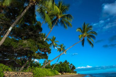 Lahaina beach, Maui