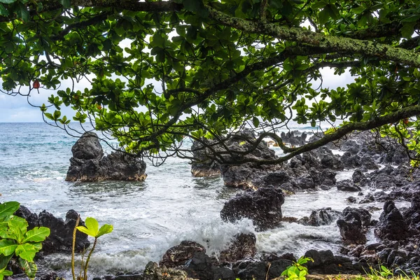 Hav, stein og vegetasjon på Maui, Hawaii – stockfoto