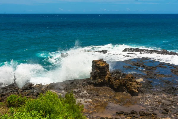 Cuerno de chorro en Kauai, Hawai —  Fotos de Stock