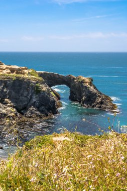 Mendocino, California Sahili boyunca doğal ark
