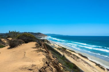 Torrey Pines, Güney California kıyısında
