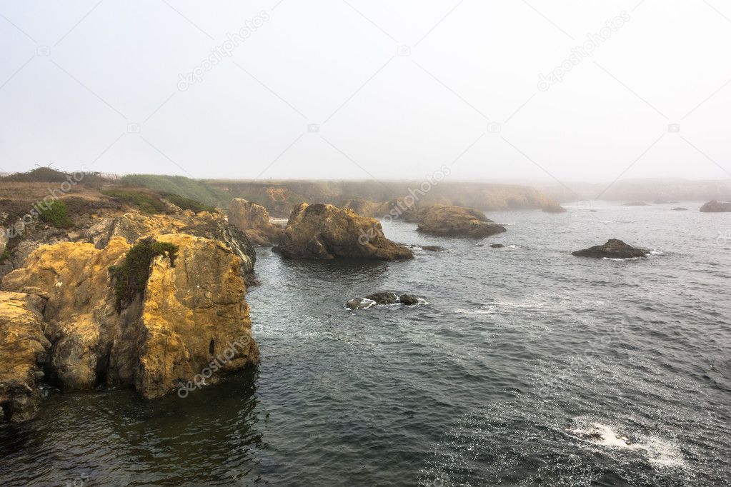 The coast of Fort Bragg in the fog, California