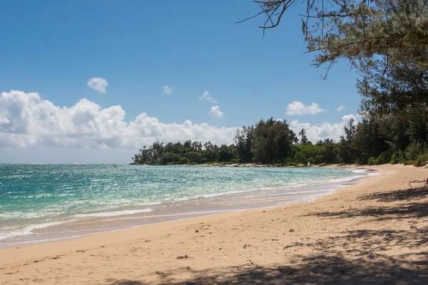 Praia de areia em Havaí — Fotografia de Stock