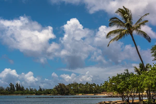 Haleiwa Beach in Oahu, Hawaii — Stock Photo, Image