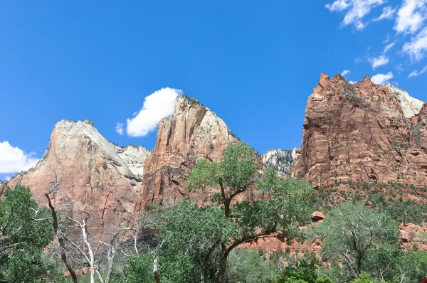 Der zion nationalpark, utah — Stockfoto