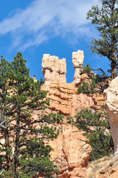 Parque Nacional Bryce Canyon, Utah — Fotografia de Stock