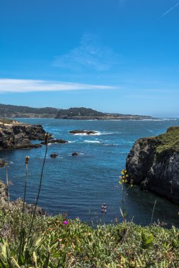 Mendocino sahil, California