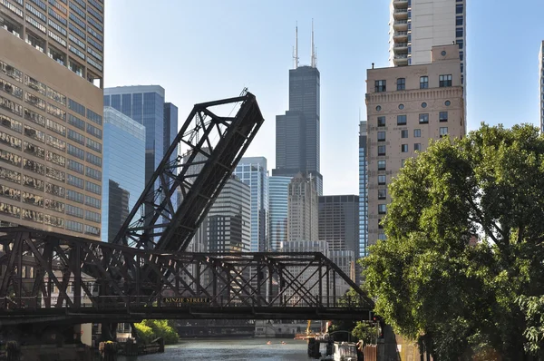 Passeio ao longo do Rio Chicago, Illinois — Fotografia de Stock