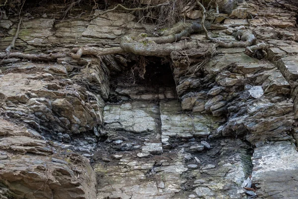 Steinwand aus Fels mit Rissen Baumwurzeln — Stockfoto