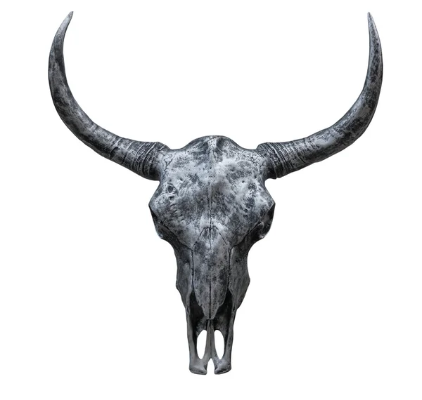 Iron Cow skull isolated on the white background — Stock Photo, Image