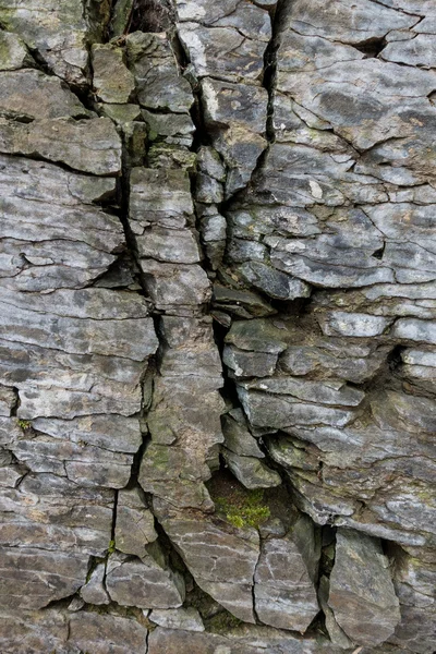 Kalaskula kaminen på vit bakgrund, isolerade — Stockfoto