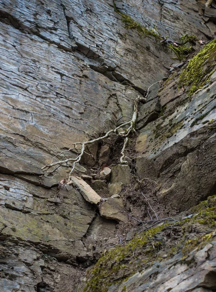 Steinwand aus Fels mit Rissen — Stockfoto