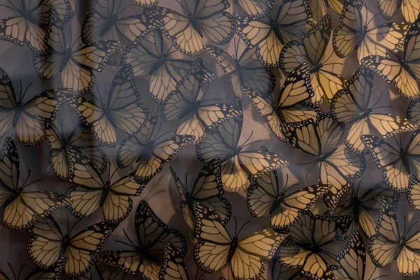 Plastový motýl prostřednictvím skleněná vitrína — Stock fotografie