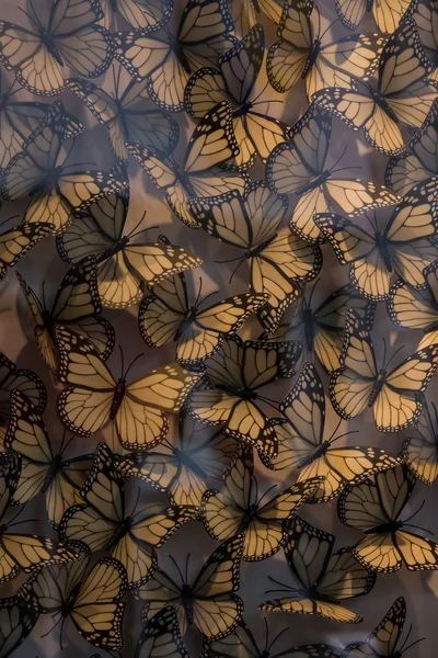 ショーケースのガラスからプラスチック製の蝶 — ストック写真