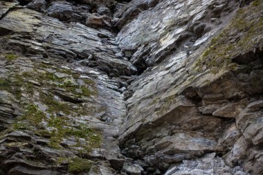 ağırlık kaldırma çubukları fitness Center'da duvarda