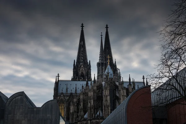 Catedral de Colônia contra o céu na Alemanha — Fotografia de Stock