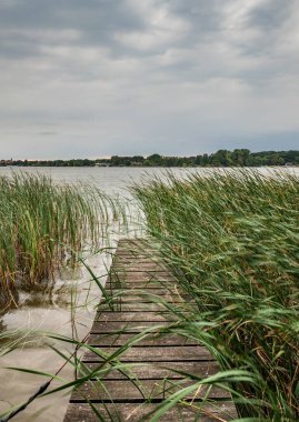 Ruppiner. Brandenburg, Almanya 'da göle bak. .