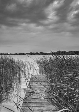 Ruppiner. Brandenburg, Almanya 'da göle bak. .